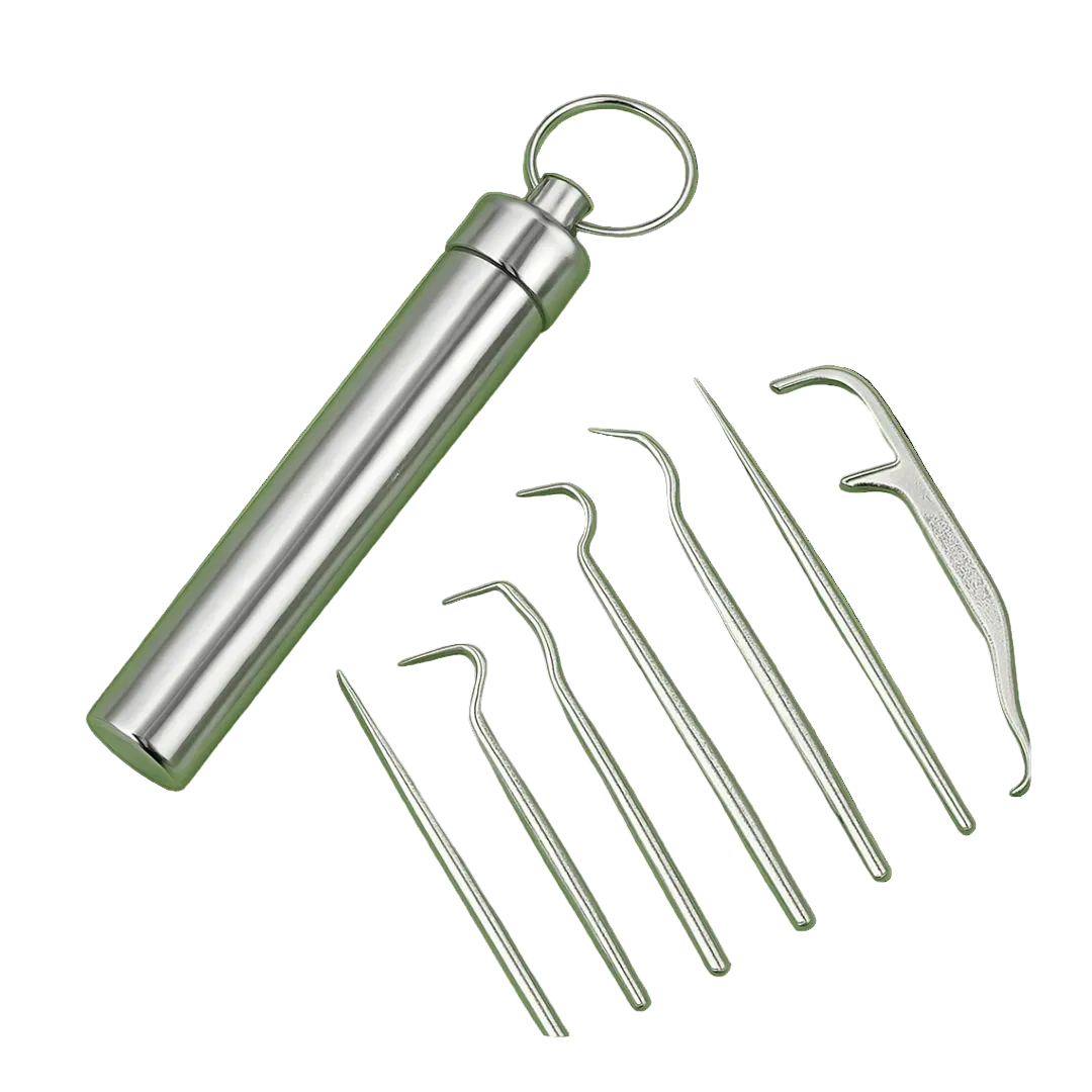 Roestvrijstalen Tandenstokerset - 6 Delig Zilver
